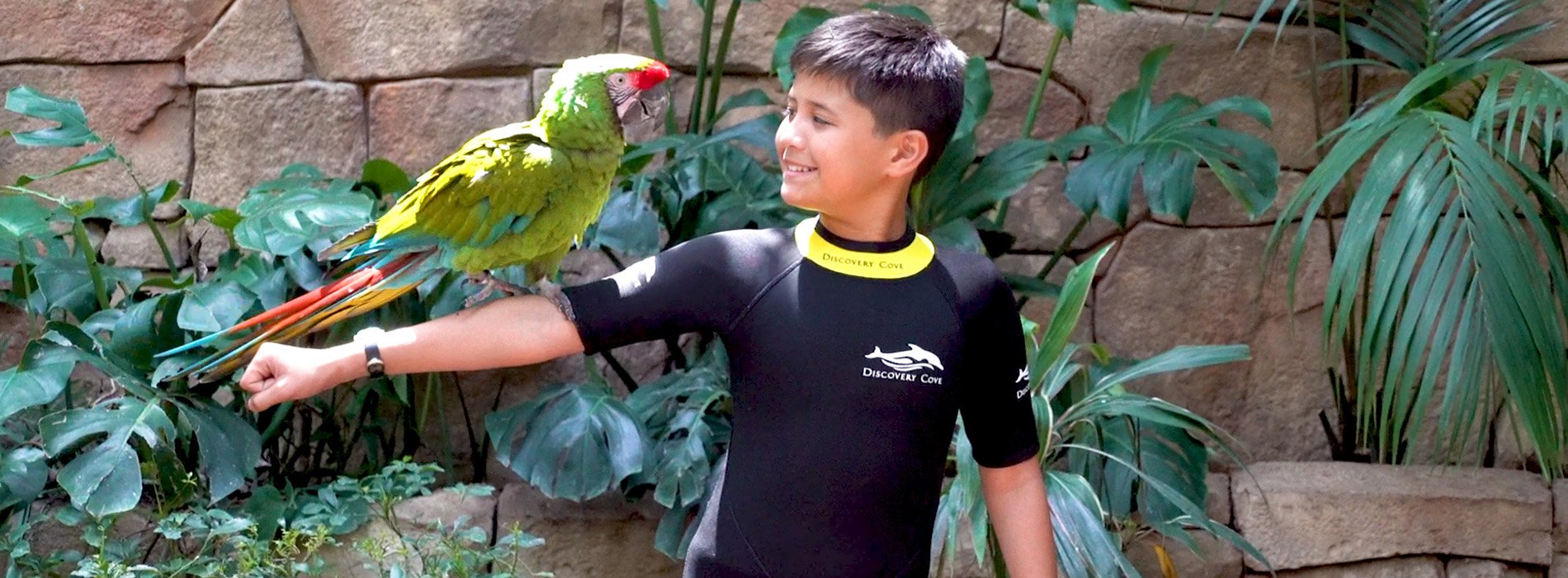 Discovery Cove Animal Trek