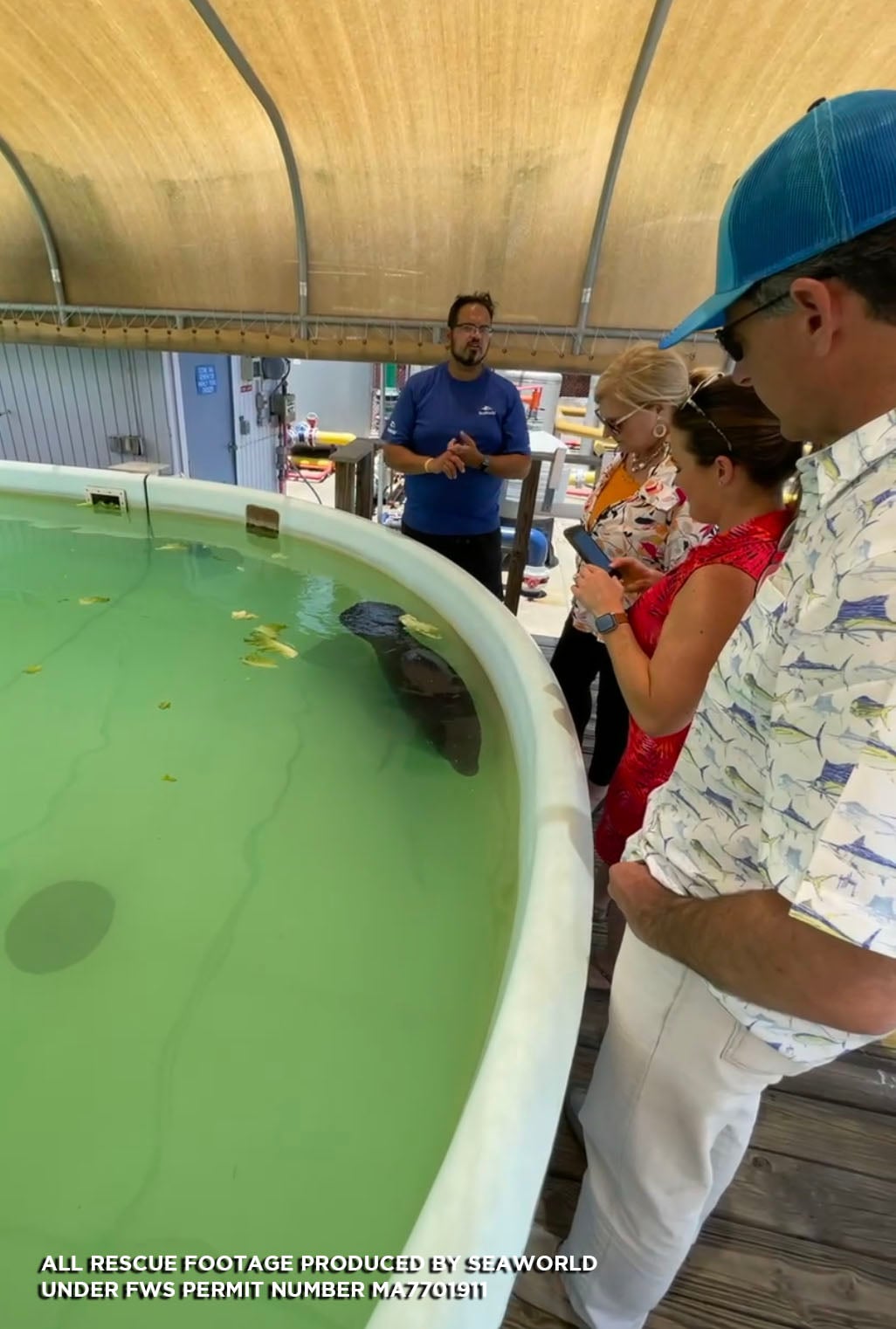 Manatee Rehabilitation