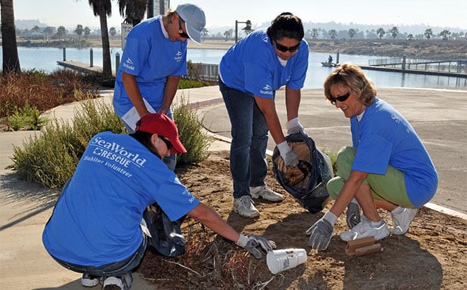 SeaWorld Beach Cleanup