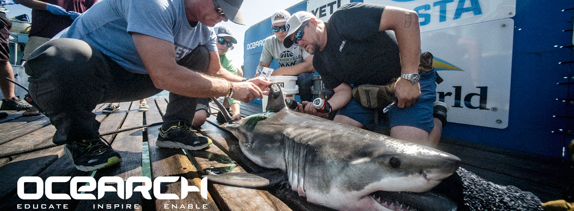 Partnership between SeaWorld and OCEARCH
